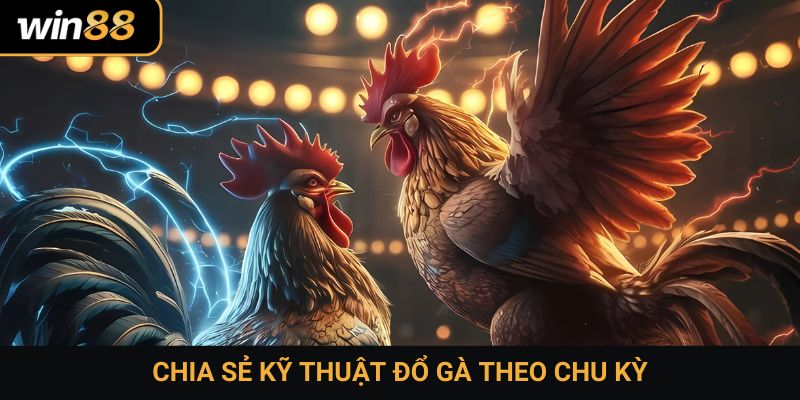 Chia sẻ kỹ thuật đổ gà theo chu kỳ