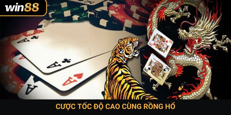 Cược tốc độ cao cùng Rồng Hổ